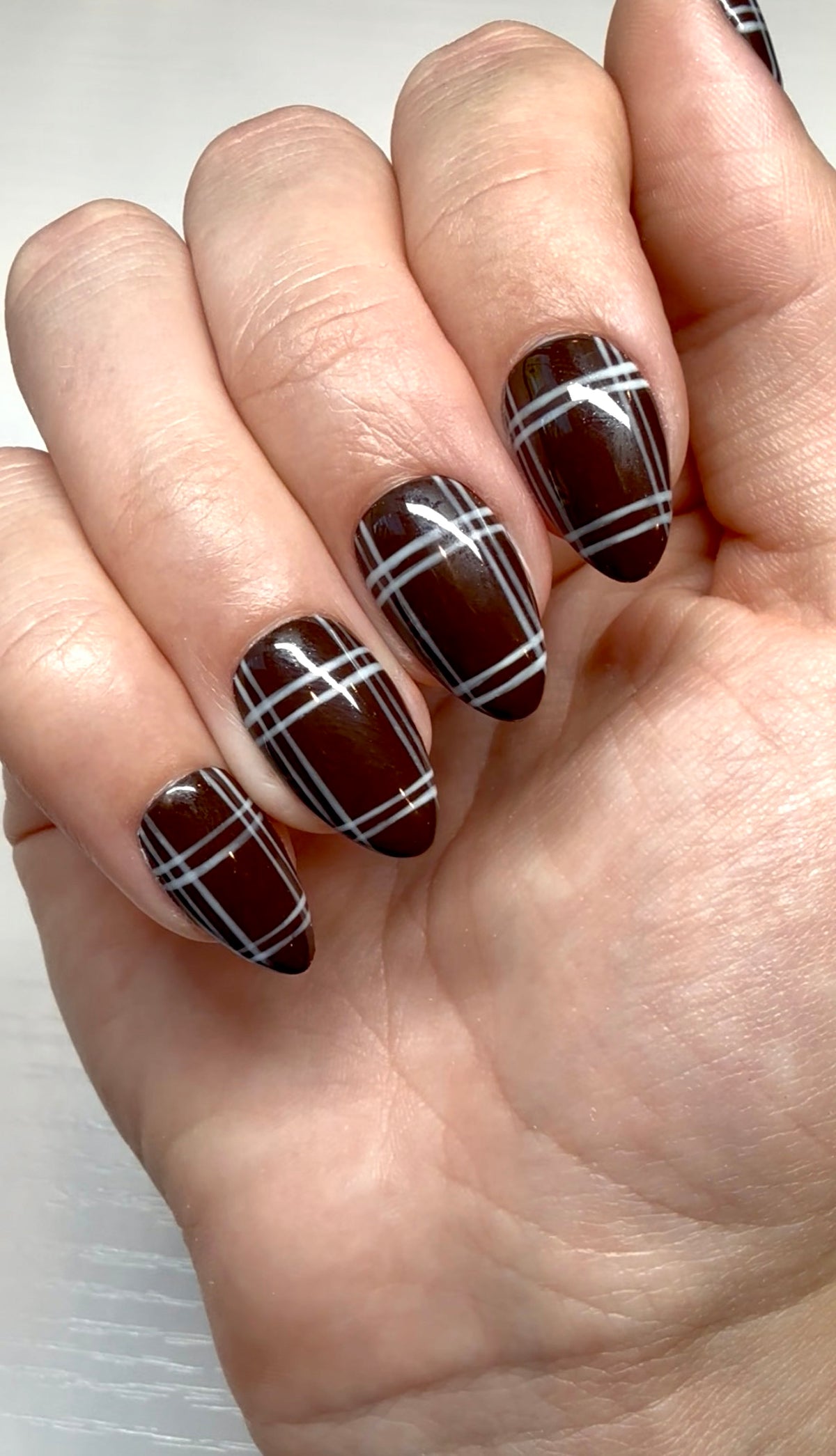 Chocolate Plaid